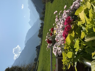 Blick von der Terrasse