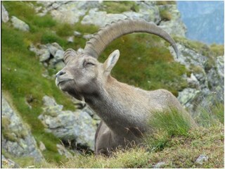 EE9E963C-AC5A-460D-B66C-5D3410ACD3CA