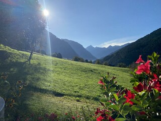 Morgensonne auf die Terrasse
