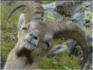 EC1BC0DA-5414-46EC-972C-6E315C1B9D54