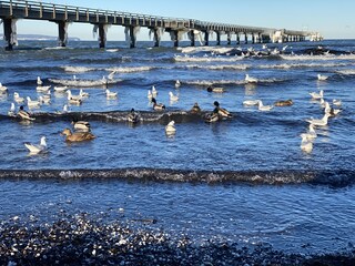 Binz, auch im Winter eine Reise wert