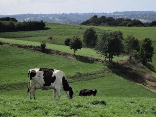 Casa vacanze Aywaille Ambiente 38