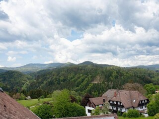 Apartment Sallneck Außenaufnahme 8