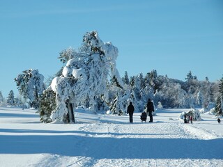 Casa per le vacanze Winterberg Ambiente 16