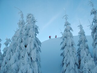 Casa per le vacanze Winterberg Ambiente 17