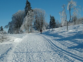 Casa per le vacanze Winterberg Ambiente 18