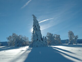 Casa per le vacanze Winterberg Ambiente 19