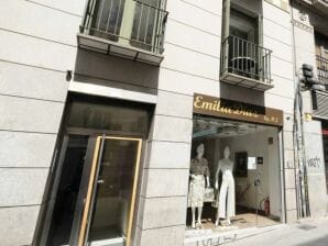 Cozy apartment in the center of Madrid(df2f0058fe8578d6416e) - Madrid - image1