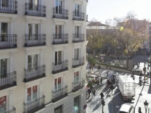 Equipped apartment in the center of Madrid(5635d10e4395646547e0) - Madrid - image1