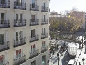 Appartamento attrezzato nel centro di Madrid(5635d10e4395646547e0) - Madrid - image1