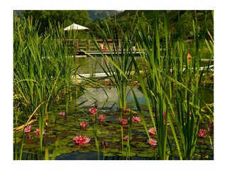 Appartamento per vacanze Gargazon Ambiente 37