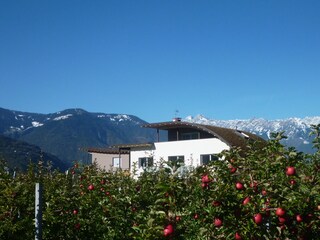 Appartamento per vacanze Gargazon Registrazione all'aperto 13