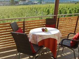 Appartamento per vacanze Gargazon Caratteristiche 28