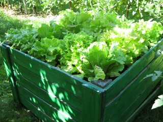 Appartamento per vacanze Gargazon Registrazione all'aperto 14