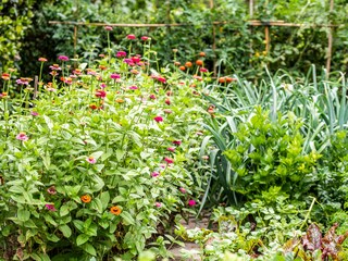 Appartamento per vacanze Gargazon Registrazione all'aperto 15