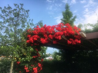 Appartamento per vacanze Gargazon Registrazione all'aperto 16