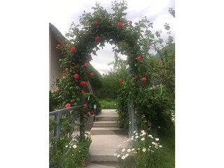 Appartamento per vacanze Gargazon Registrazione all'aperto 17