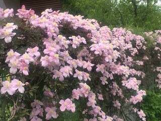 Appartamento per vacanze Gargazon Registrazione all'aperto 18