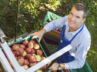 Appartamento per vacanze Gargazon Registrazione all'aperto 10