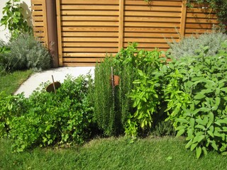 Appartamento per vacanze Gargazon Registrazione all'aperto 8