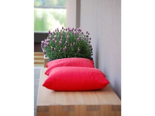 Appartamento per vacanze Gargazon Caratteristiche 27