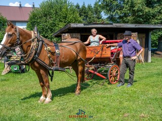 Vakantiehuis Lokve Omgeving 33