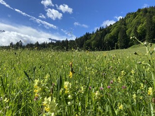 Ferienwohnung Mittenwald Umgebung 14