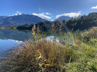 Ferienwohnung Mittenwald Umgebung 16