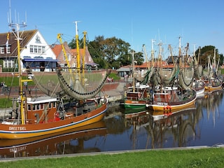 Greetsieler Hafen