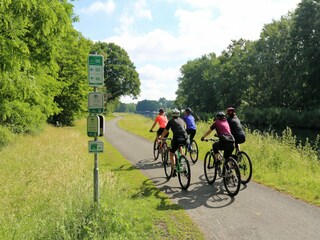 Ferienpark Oud-Turnhout Umgebung 23