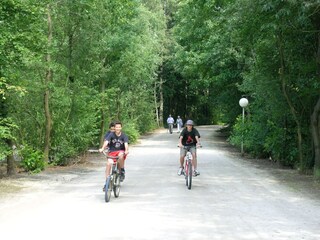 Parque de vacaciones Oud-Turnhout Entorno 25