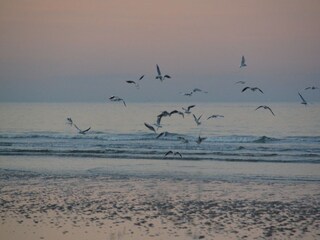 Casa per le vacanze Canchy Ambiente 32