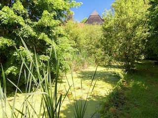 Landhaus Savignac-Lédrier Außenaufnahme 5
