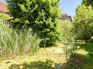 Cottage Savignac-Lédrier Environment 36