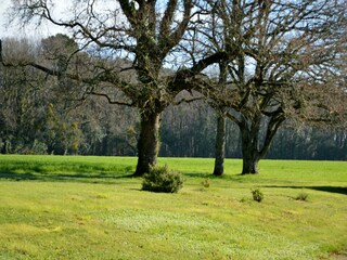 Ferienhaus Pénestin Außenaufnahme 2