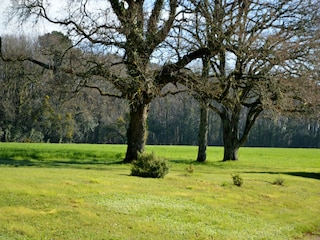 Vakantiehuis Pénestin Buitenaudio-opname 2