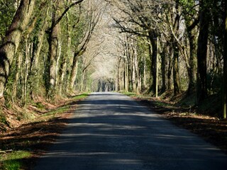 Ferienhaus Pénestin Umgebung 30