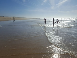 Maison de vacances Pénestin Environnement 31