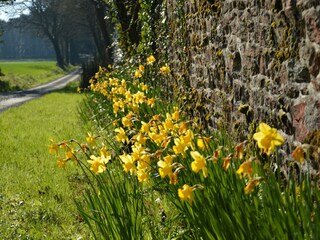 Ferienhaus Pénestin  33