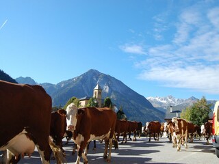 Chalet Champagny-en-Vanoise Omgeving 22