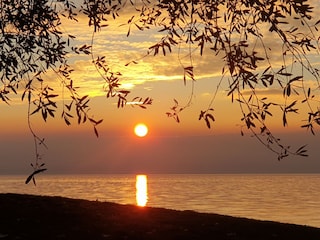 Ferienwohnung Brenzone sul Garda Außenaufnahme 9
