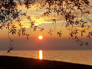 Vakantieappartement Brenzone sul Garda Buitenaudio-opname 9