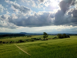 Blick zum Pöhlberg