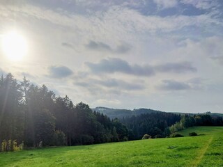 Wanderweg in Richtung Drebach
