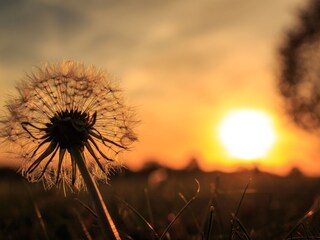 Appartamento per vacanze Vlissingen Ambiente 33