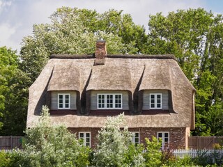 Holiday house Pellworm Outdoor Recording 16