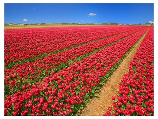 Bungalow Limmen Ambiente 28