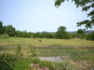 Ferienhaus Largentière Außenaufnahme 9