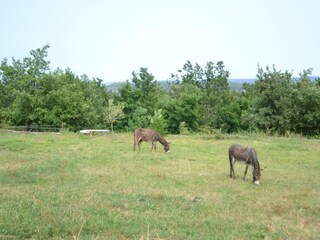 Maison de vacances Largentière Enregistrement extérieur 9
