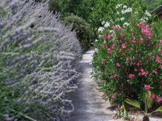 Ferienhaus Largentière Umgebung 38